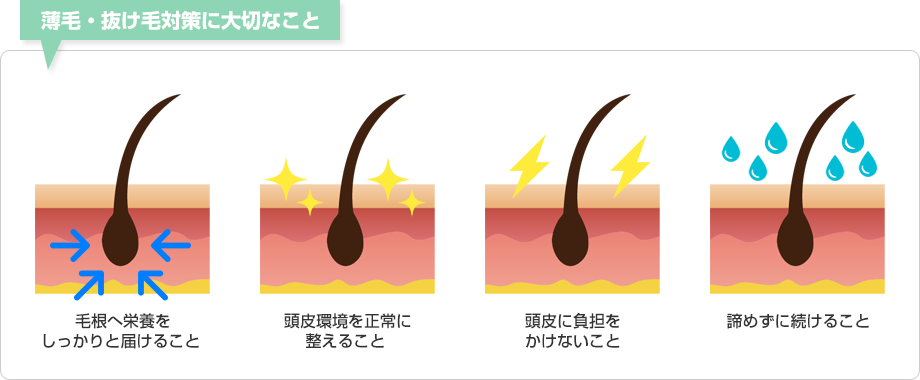 薄毛・抜け毛対策に大切なこと